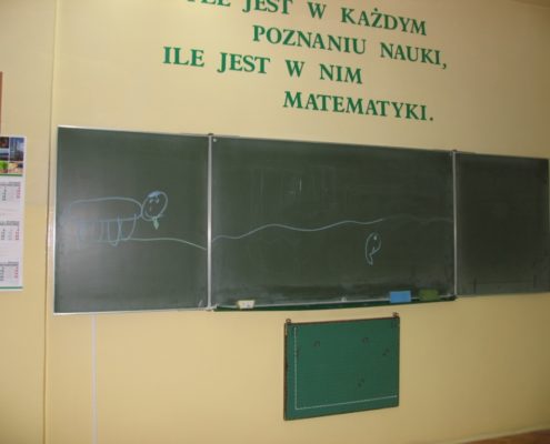activity_jr 7