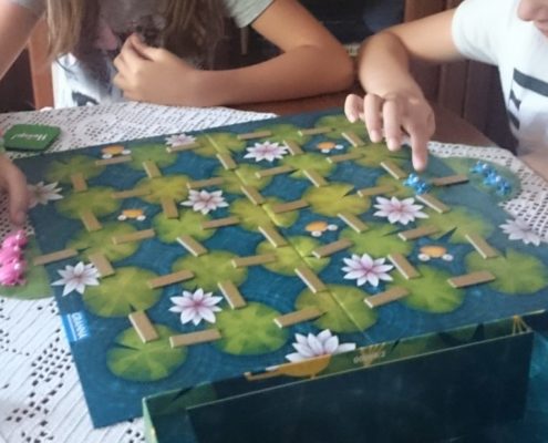 dkgp (8)